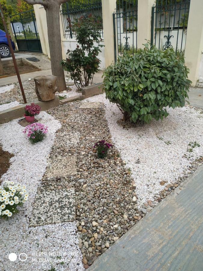 Stavros Apartments Artemida  Ngoại thất bức ảnh